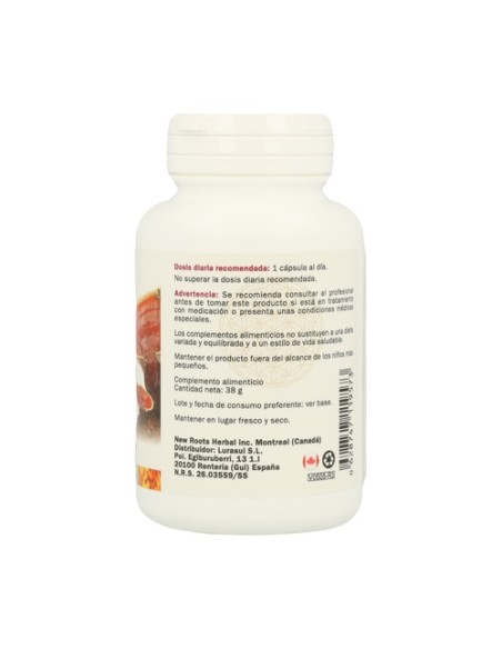 Reishi 60 cápsulas Sura Vitasan