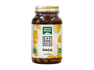 Maca