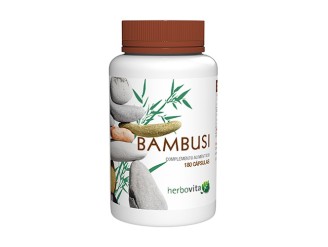 Bambusi