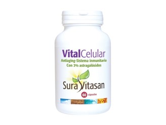 Vital Celular
