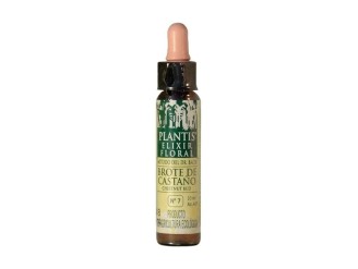 Flores De Bach Brote Castaño-7 Elixir Floral Eco