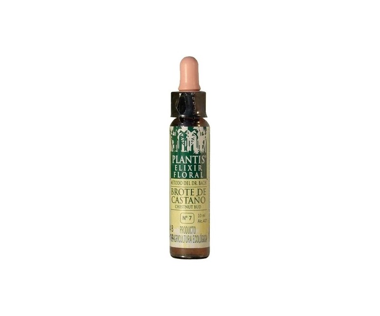 Flores De Bach Brote Castaño-7 Elixir Floral Eco 10 ml de elixir floral Plantis