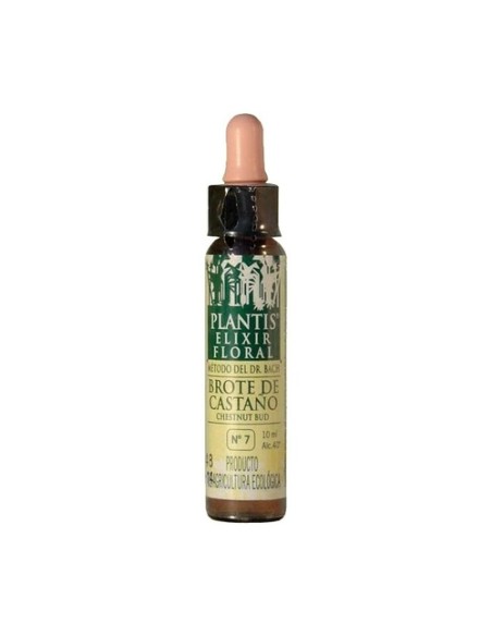 Flores De Bach Brote Castaño-7 Elixir Floral Eco 10 ml de elixir floral Plantis
