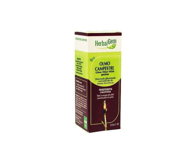 Olmo Campestre Macerado Glicerinado 50 ml Herbalgem