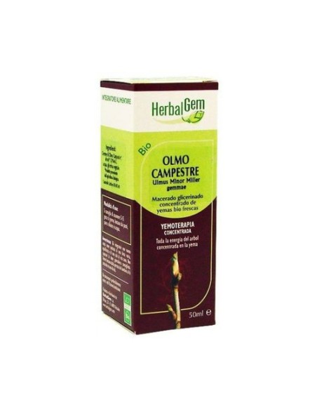 Olmo Campestre Macerado Glicerinado 50 ml Herbalgem