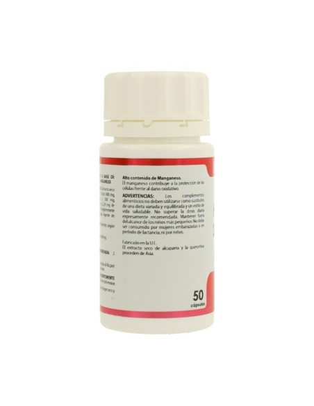 Stopalerg Holomega 50 cápsulas Equisalud