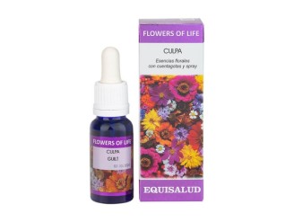 Flower of Life Culpa
