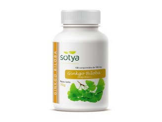 Ginkgo Biloba