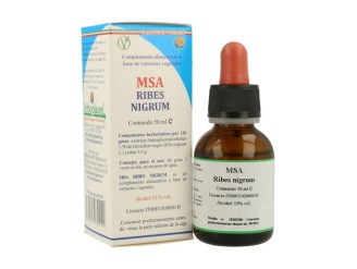 Msa Ribes Nigrum Gemas
