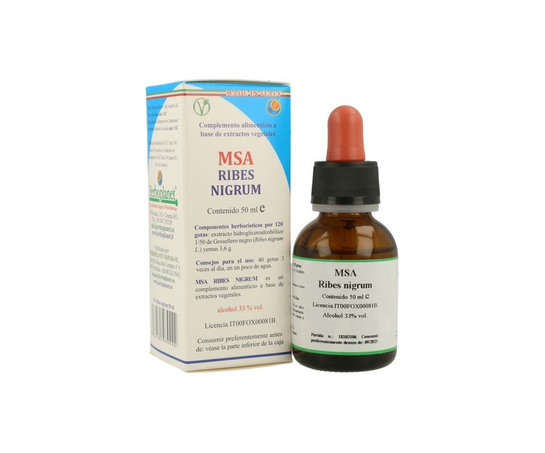Msa Ribes Nigrum Gemas 50 ml Herboplanet