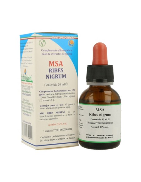 Msa Ribes Nigrum Gemas 50 ml Herboplanet