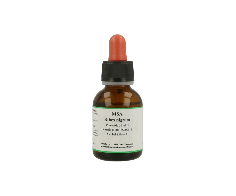 Msa Ribes Nigrum Gemas 50 ml Herboplanet