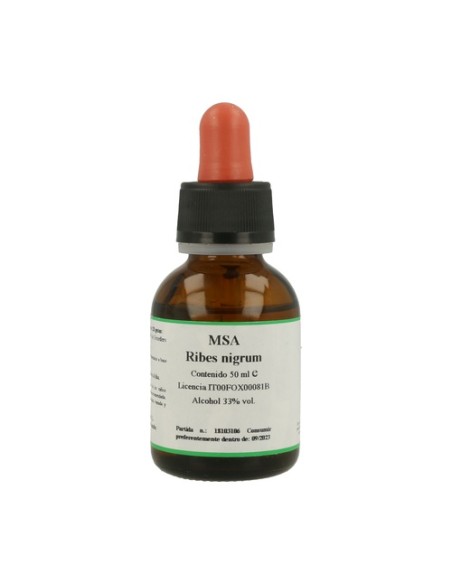 Msa Ribes Nigrum Gemas 50 ml Herboplanet