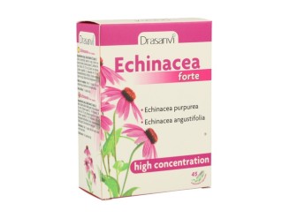 Echinacea
