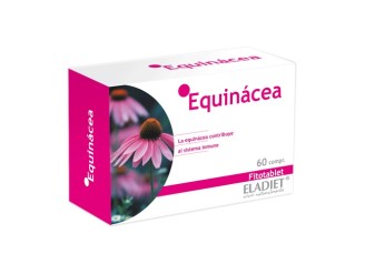 Echinacea