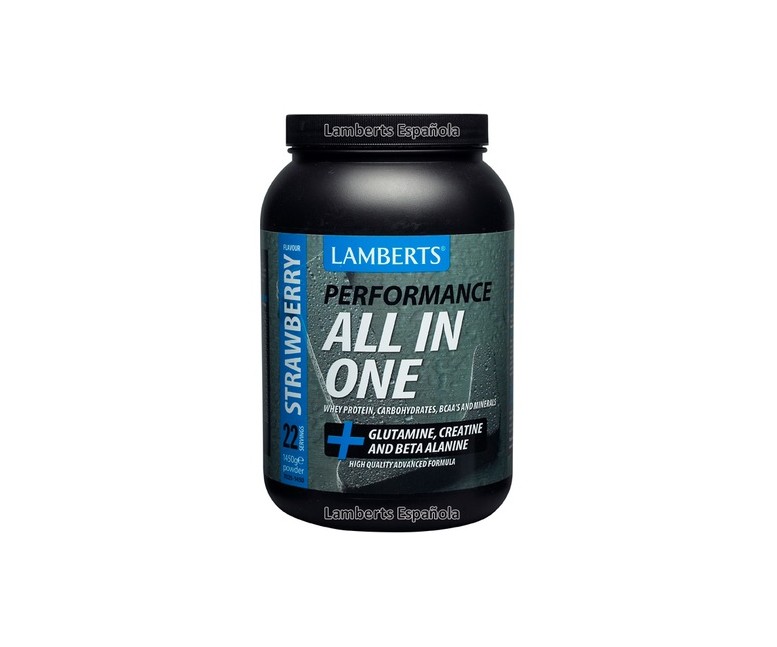 All in one 1450 g (Fresa) Lamberts