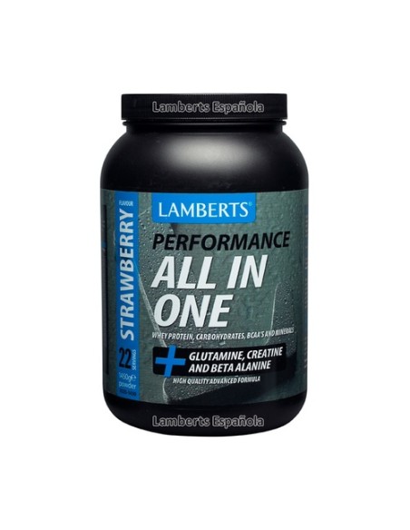 All in one 1450 g (Fresa) Lamberts