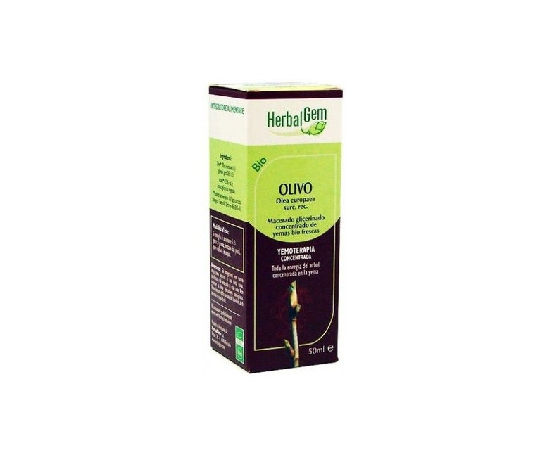 Olivo Macerado Glicerinado 50 ml Herbalgem