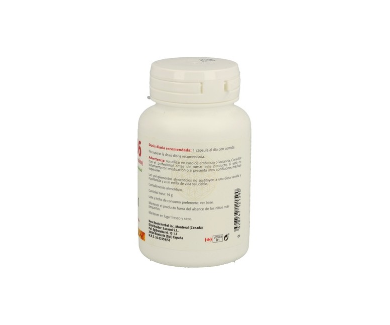Vitamina B6 60 cápsulas Sura Vitasan