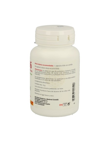 Vitamina B6 60 cápsulas Sura Vitasan