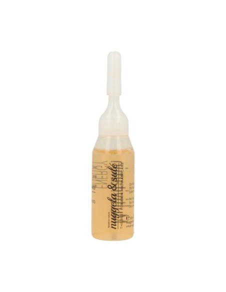 Ampolla Multivitaminica 1 ampollas de 10ml Nuggela & sule