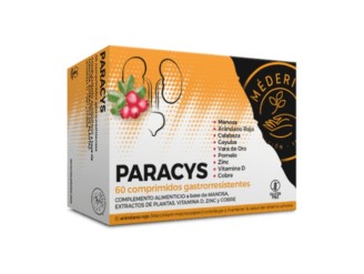 Paracys (sistema urinario)
