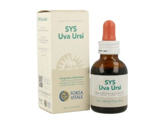 SYS Uva Ursina