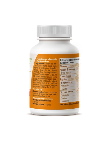 Vinagre plus 100 cápsulas de 550mg GHF