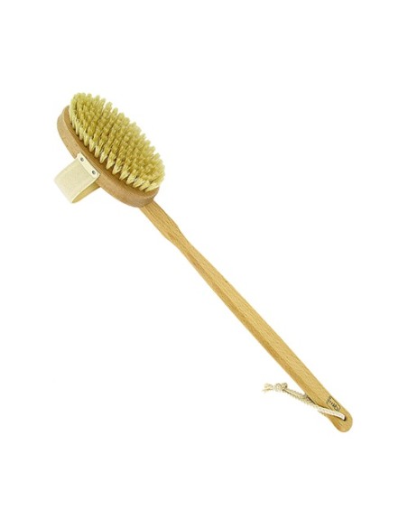 Cepillo corporal cerda natural (dureza suave-media) 1 unidad Forsters