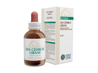 LES Cedrus Libani