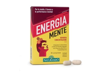 Energia mente memoria y concentración