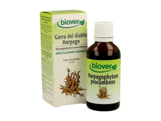 Harpagophytum Procumbens (Harpago)