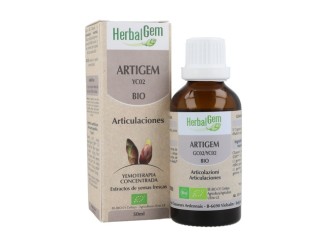 Artigem