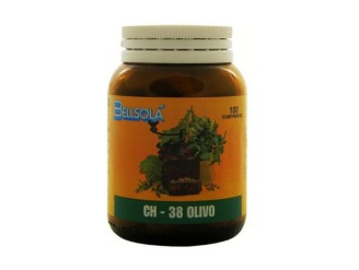 Ch-38 Olivo