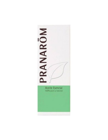 Menta Poleo Aceite Esencial 10 ml Pranarom