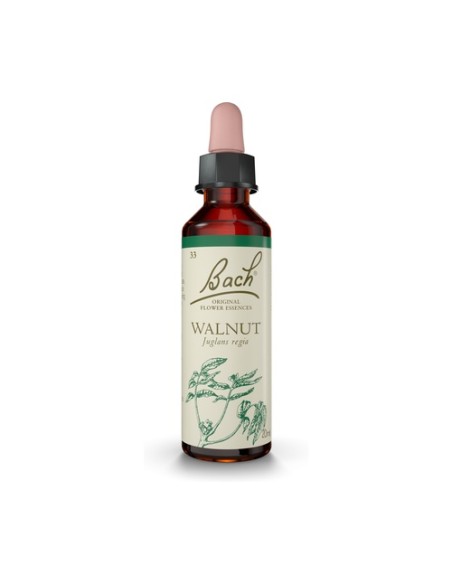 Flores de Bach Walnut 20 ml de elixir floral Bach Original