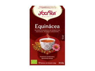 Infusión equinácea