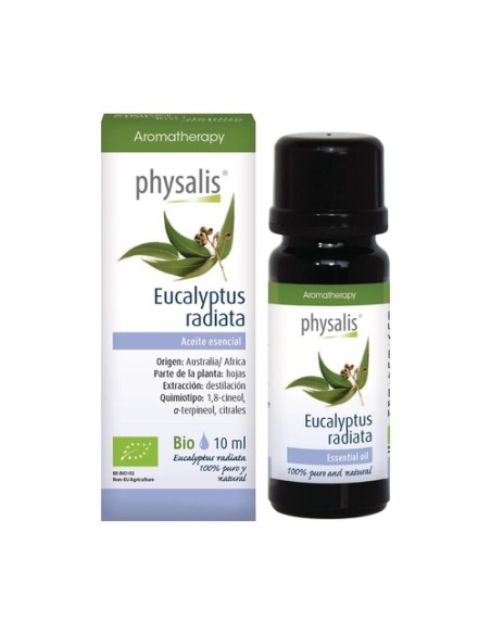 Esencia Eucalipto Radiata Bio 10 ml Physalis
