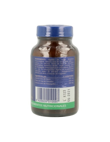 Arfosan 90 comprimidos Gsn
