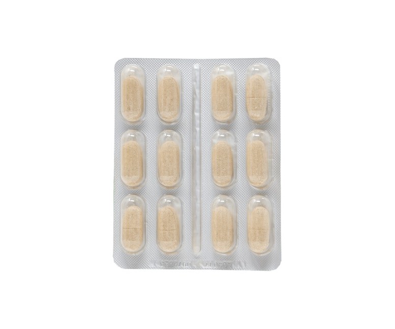 Renalgreen salud renal perrros y gatos 48 comprimidos DR GREEN