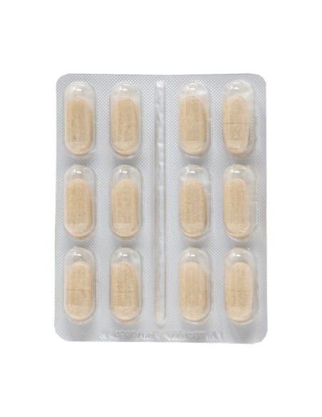 Renalgreen salud renal perrros y gatos 48 comprimidos DR GREEN