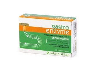 Gastro Enzyme enzimas digestivas