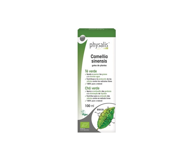 Extracto Té Verde (Camelia Sinensis) Bio 100 ml Physalis