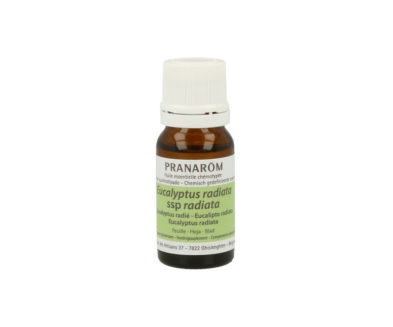 Eucalipto Radiata Hoja Aceite Esencial 10 ml de aceite esencial Pranarom
