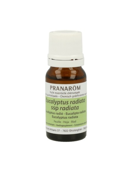 Eucalipto Radiata Hoja Aceite Esencial 10 ml de aceite esencial Pranarom