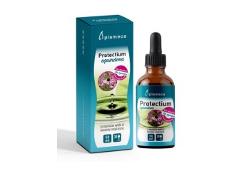 Protectium Equinácea