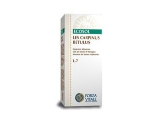 LES Carpinus Betullus