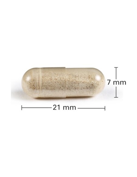 Adipoxan vientre plano 30 cápsulas Naturando