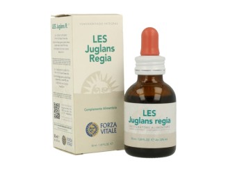 LES Juglans Regia