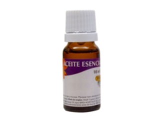 Aceite Esencial Árbol de Té